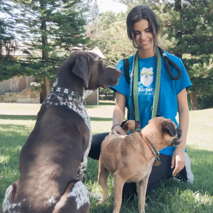 Group Dog Walking