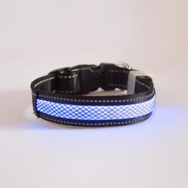 Borealis Collar (Blue Atom)