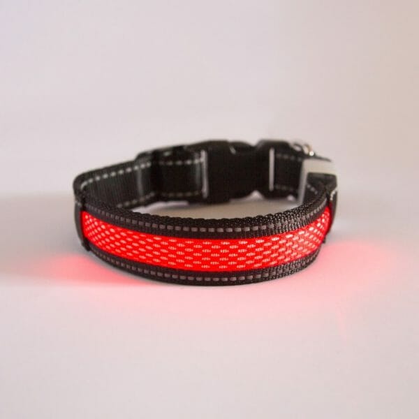 Borealis Collar (Red Atom)