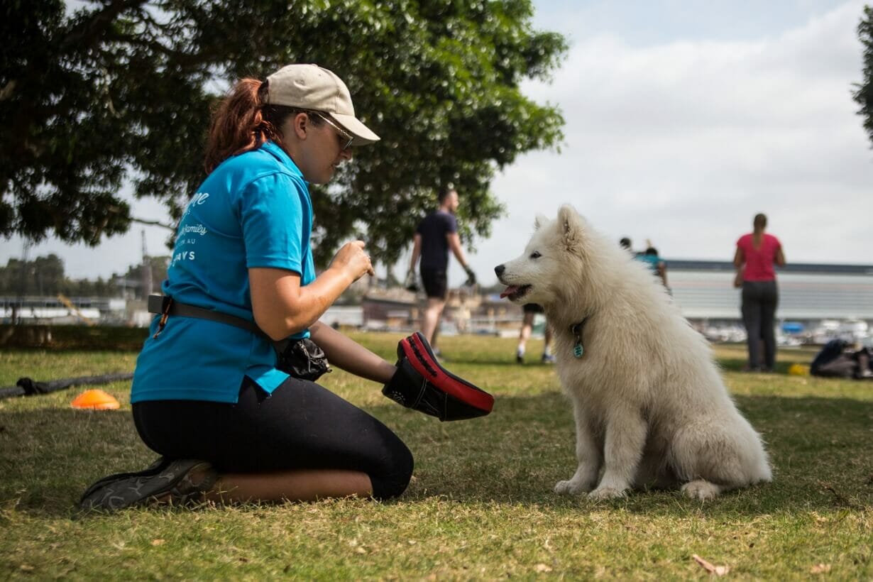 Private Dog Obedience